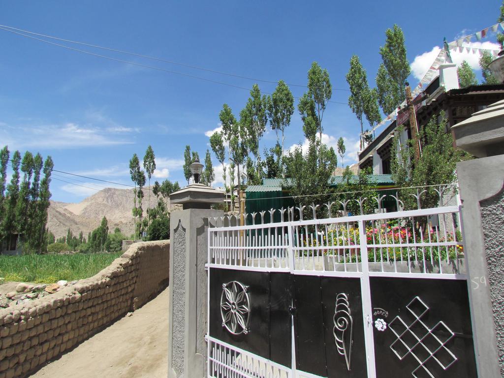 Ashoka Ladakh Hotell Leh Exteriör bild