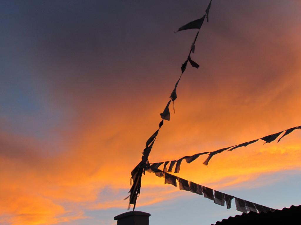 Ashoka Ladakh Hotell Leh Exteriör bild