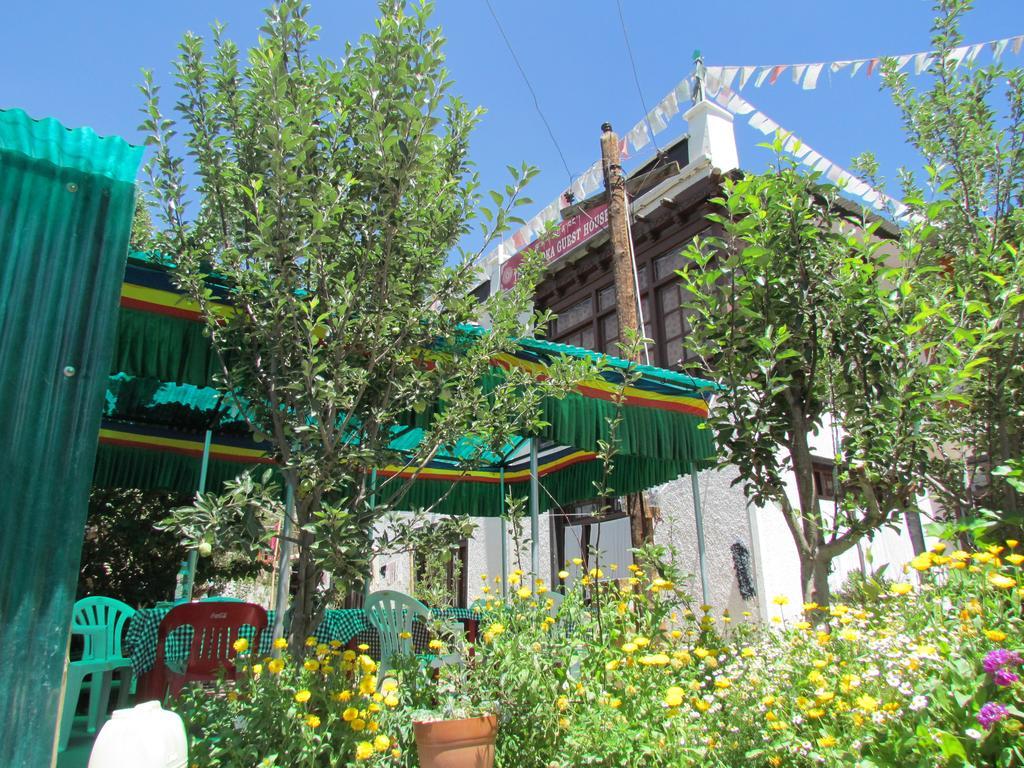 Ashoka Ladakh Hotell Leh Exteriör bild