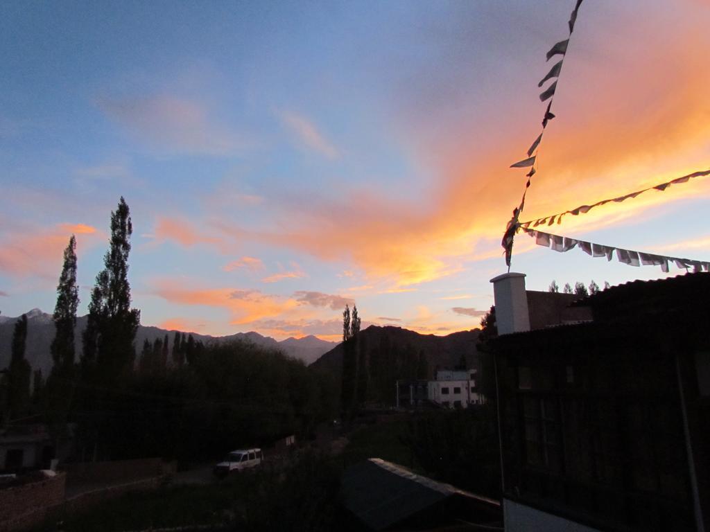 Ashoka Ladakh Hotell Leh Exteriör bild
