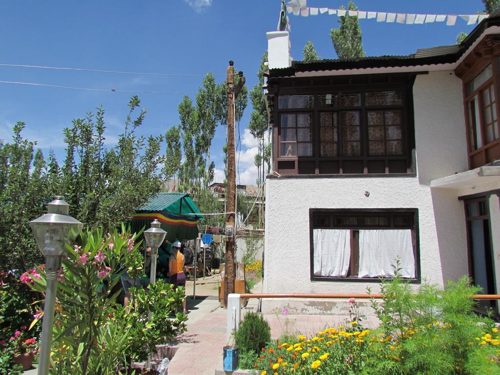 Ashoka Ladakh Hotell Leh Exteriör bild